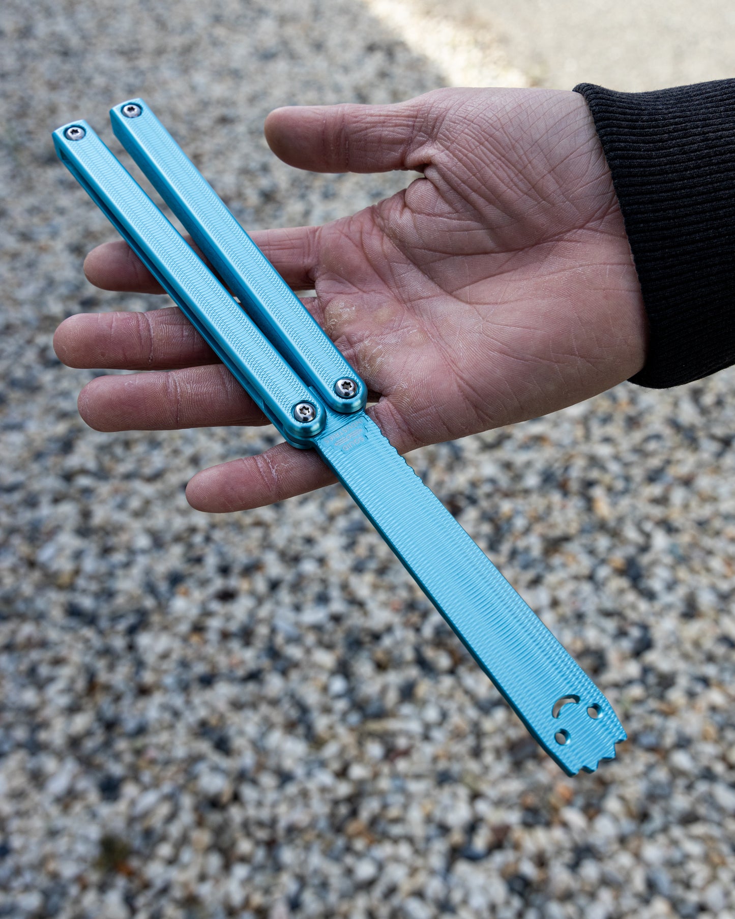 Seasonal Squiddy-AL
