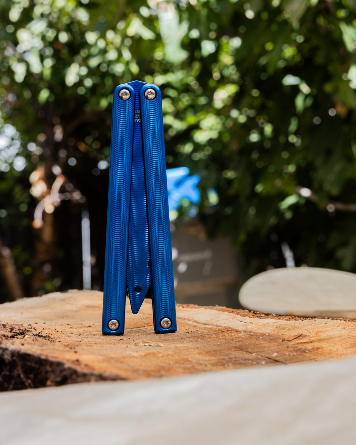 Blue Squiddy-ALT close position standing up in nature background