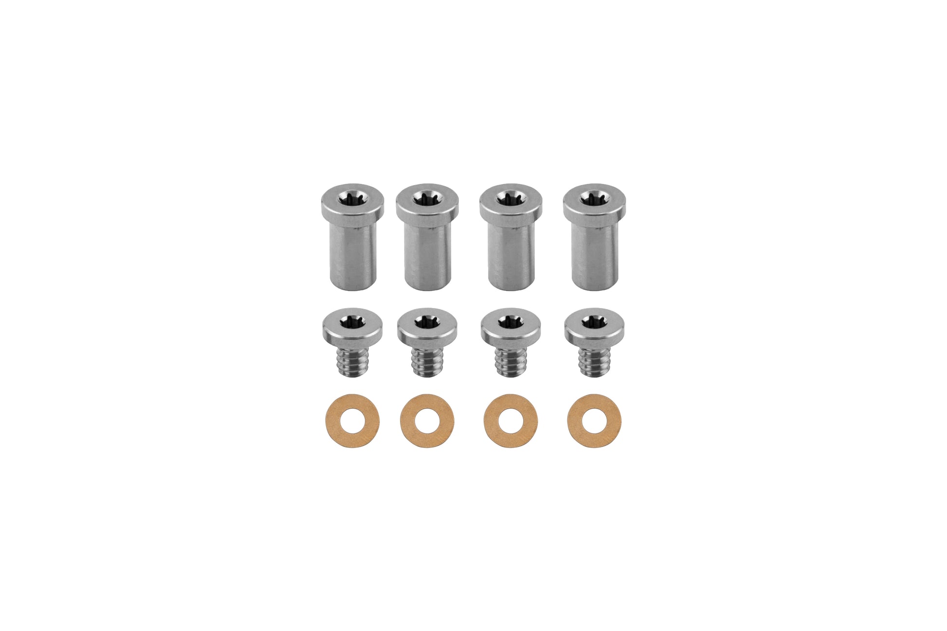 4 Silver Screw and Pivot Titanium Hardware