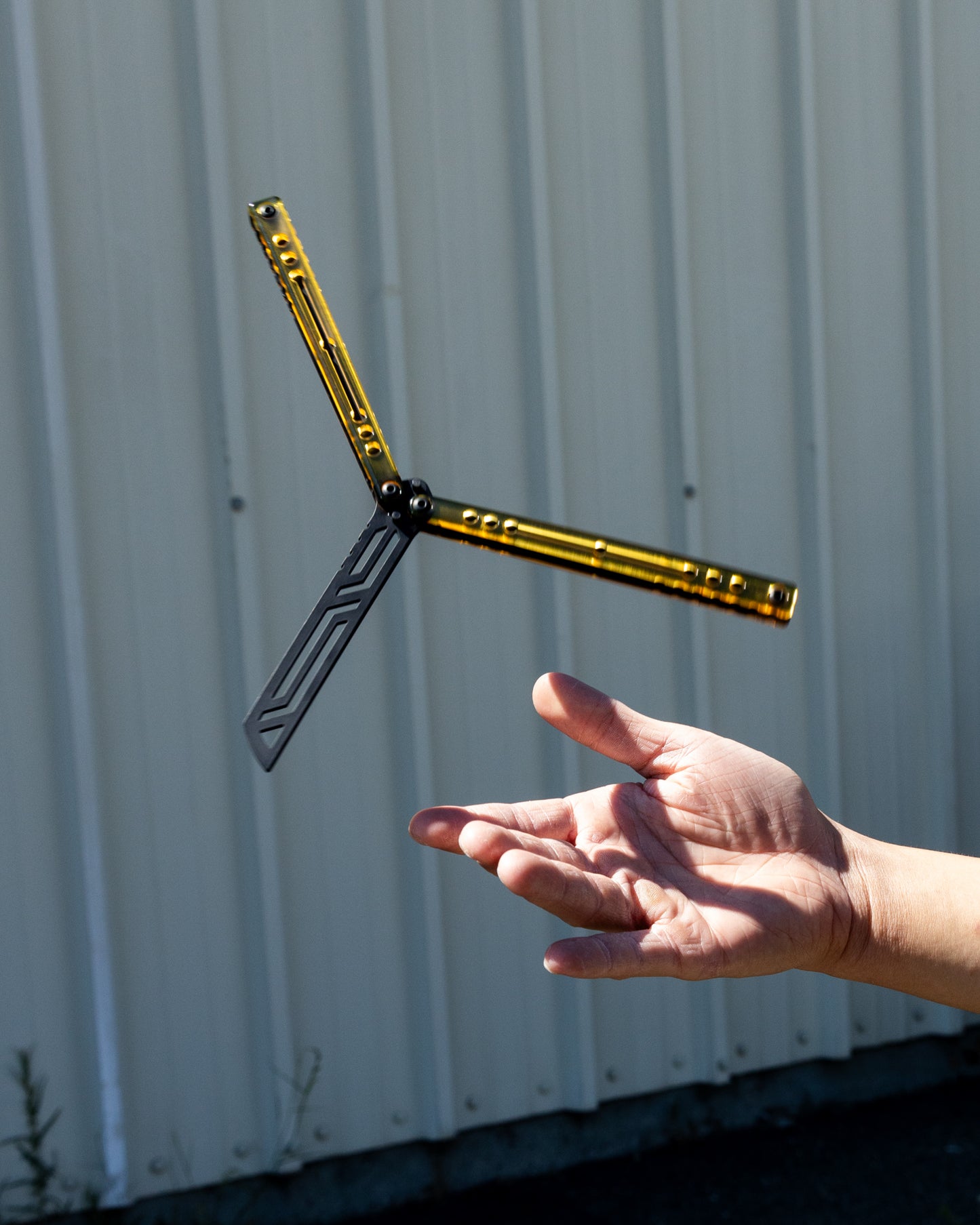 Ultem Nautilus being Flip