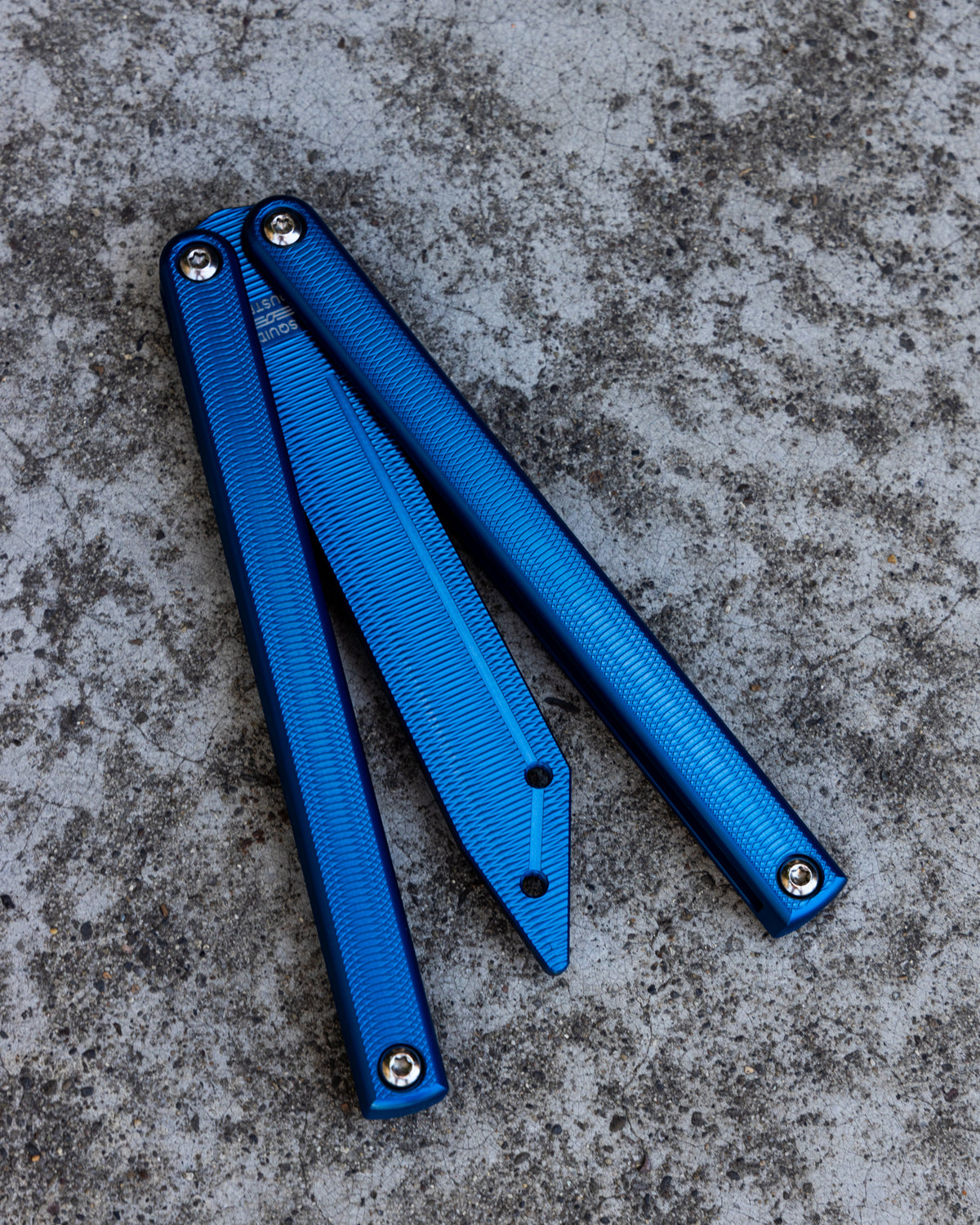 Blue Squiddy-Al close position on rocky background