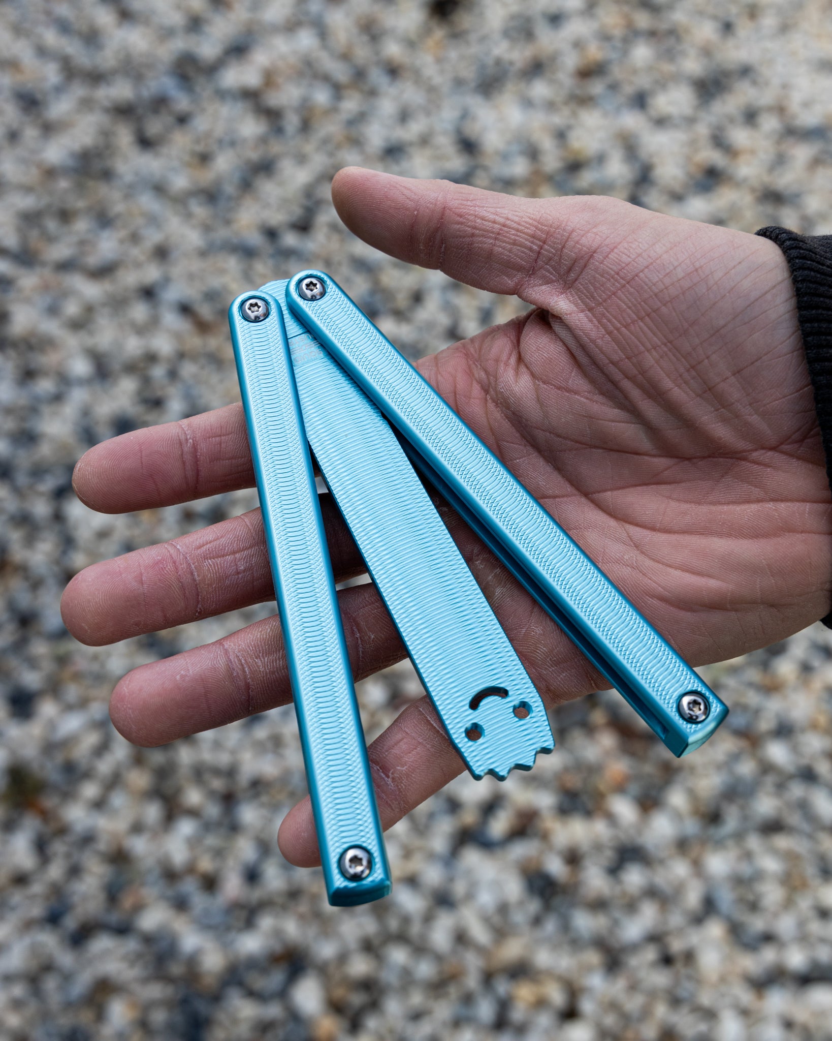 Glacial Squiddy-AL Semi Close Position On Hand on blurry pebble background