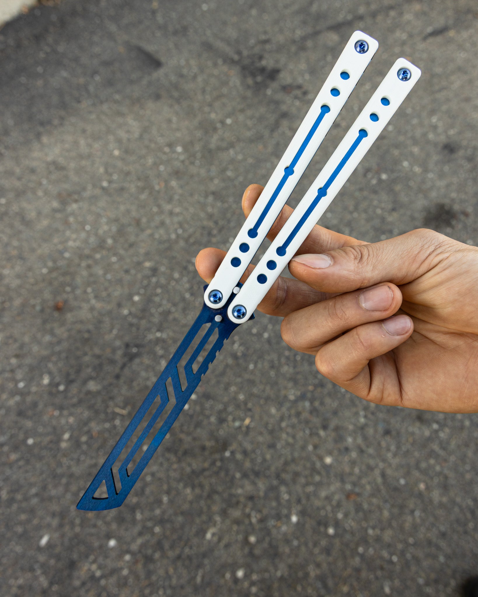 Sapphire nautilus open position held by hand